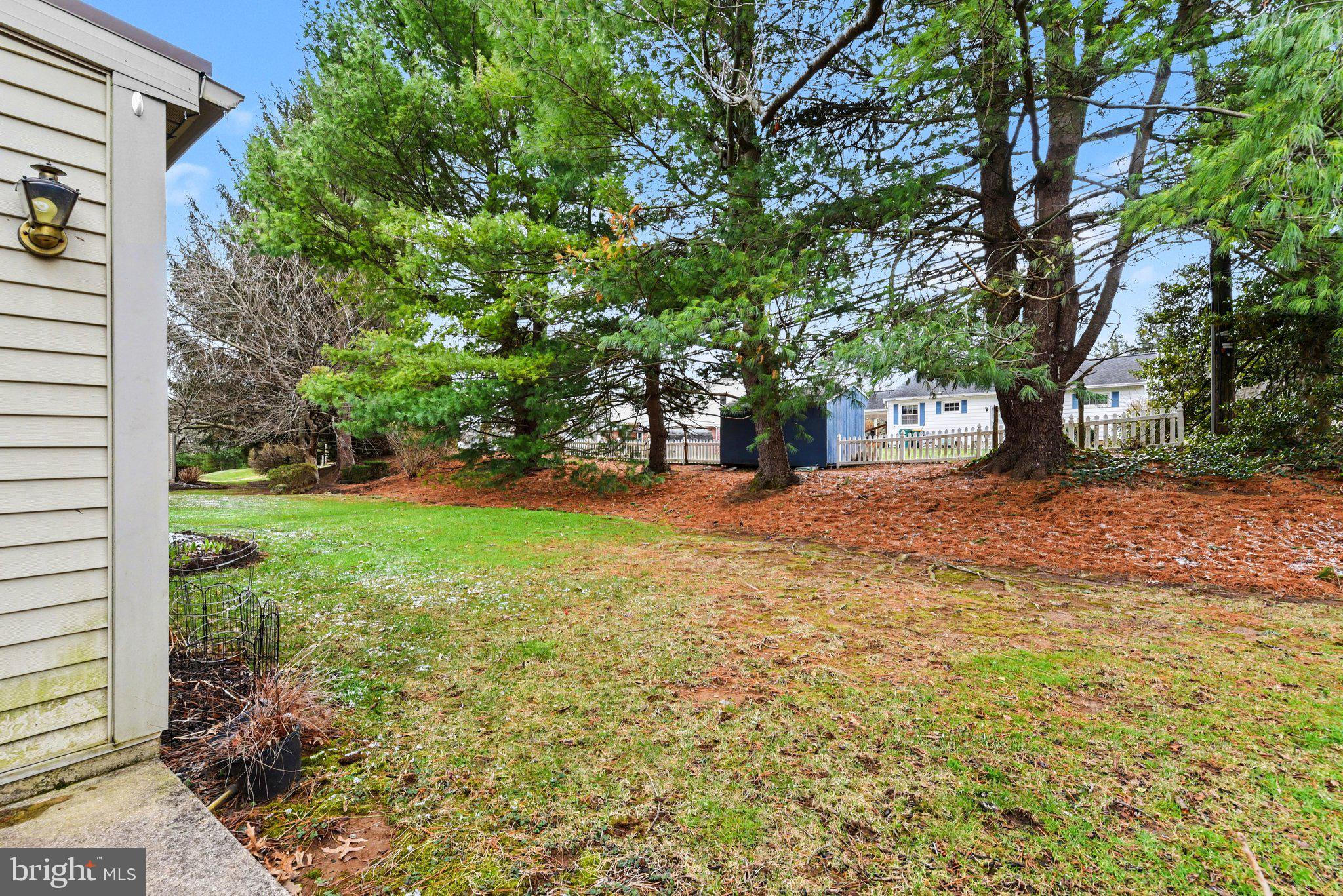 CAMBRIDGE COMMONS - Residential