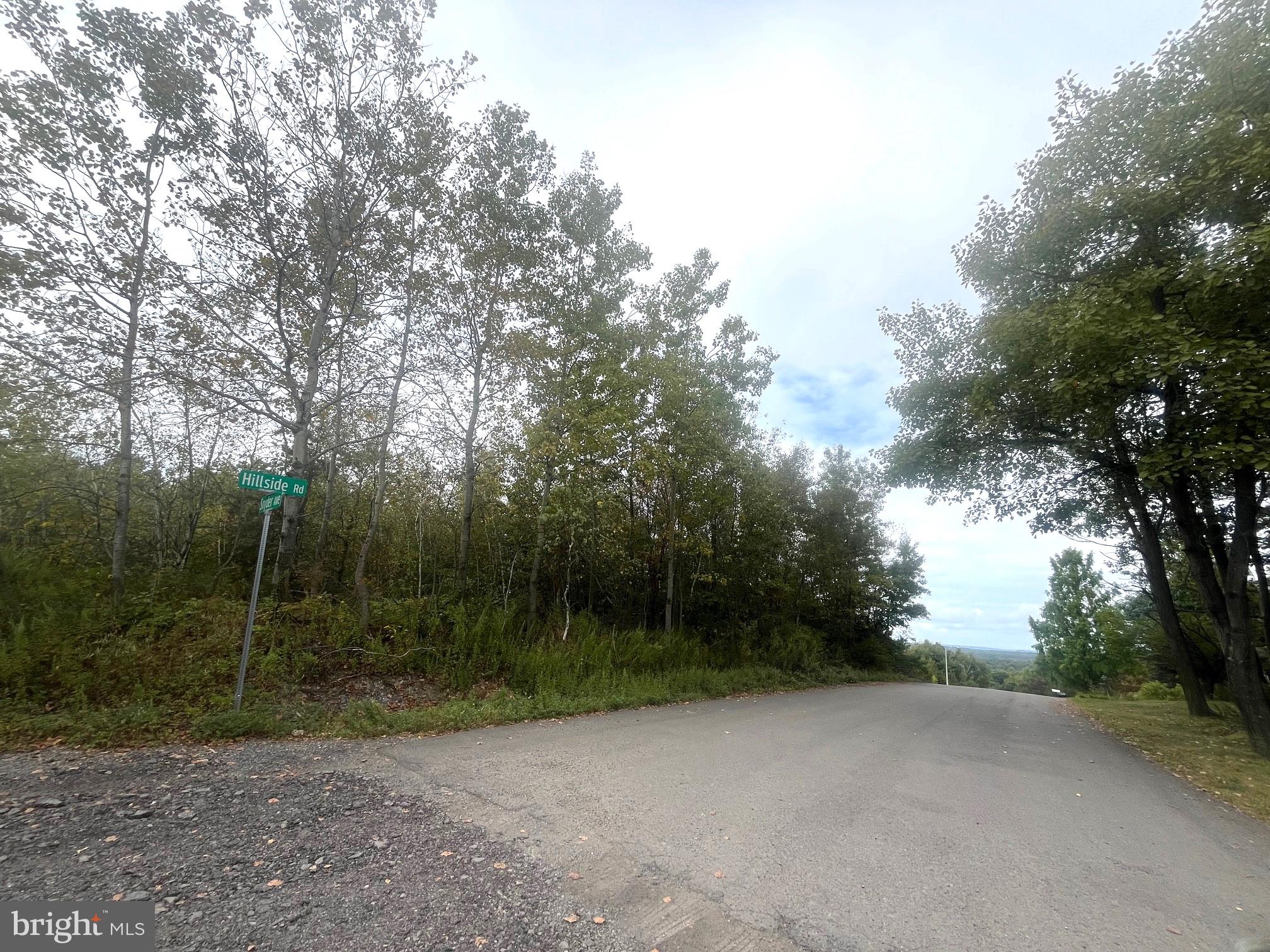 Kline Township- Large, single family building lot that offers a scenic view! This 200' x 140' corner site is level and wooded with paved road frontage and access to nearby public utilities. Use your own builder and plans.
