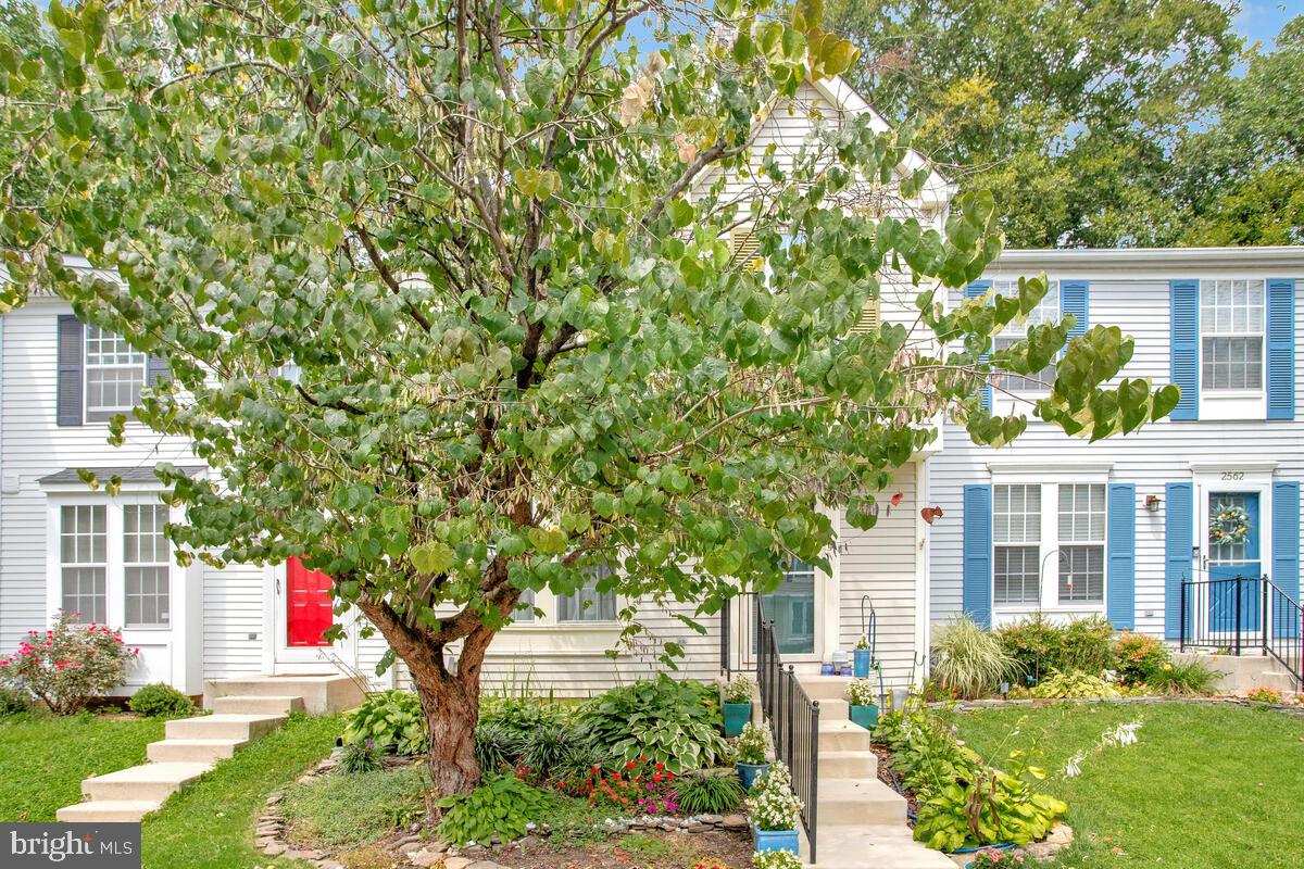 BLUE RIDGE - Residential