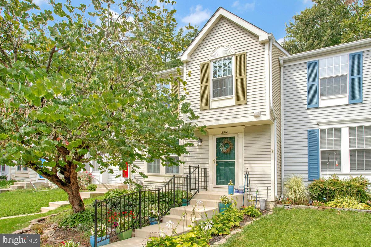 BLUE RIDGE - Residential