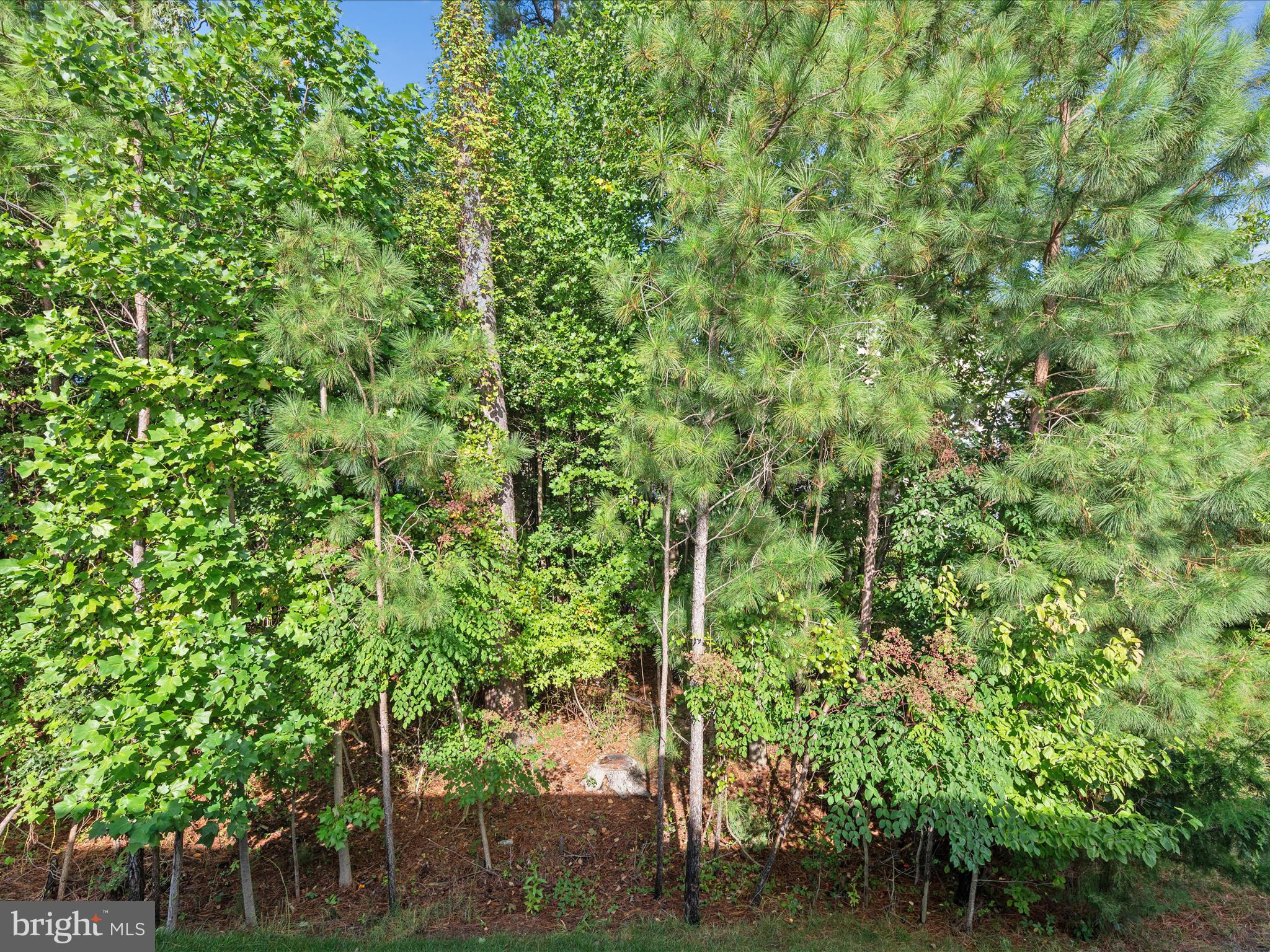 PENINSULA - Residential