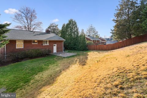 listing image 40