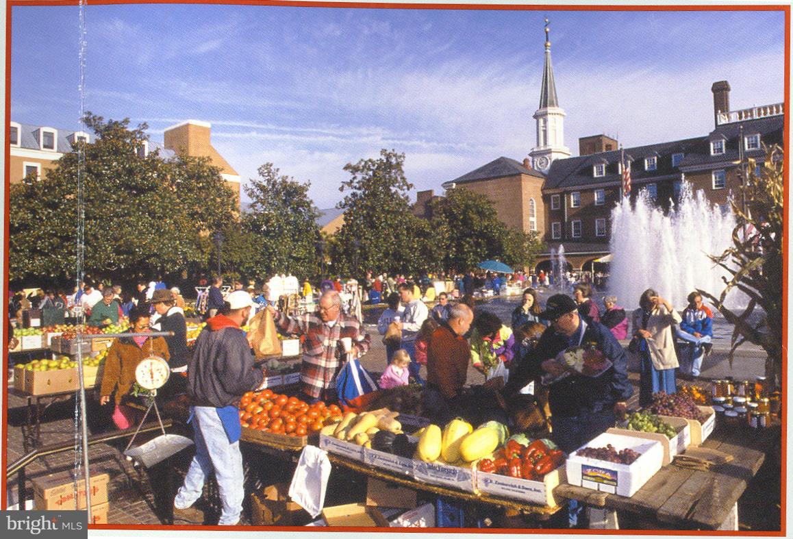 BRADDOCK PLACE - Residential