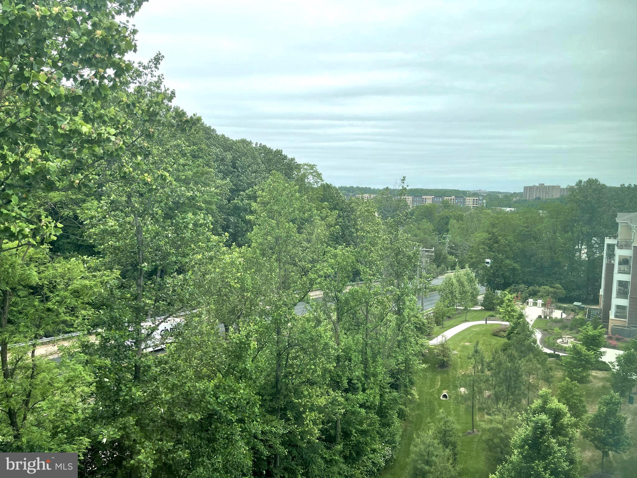 THE ENCLAVE - Residential Lease