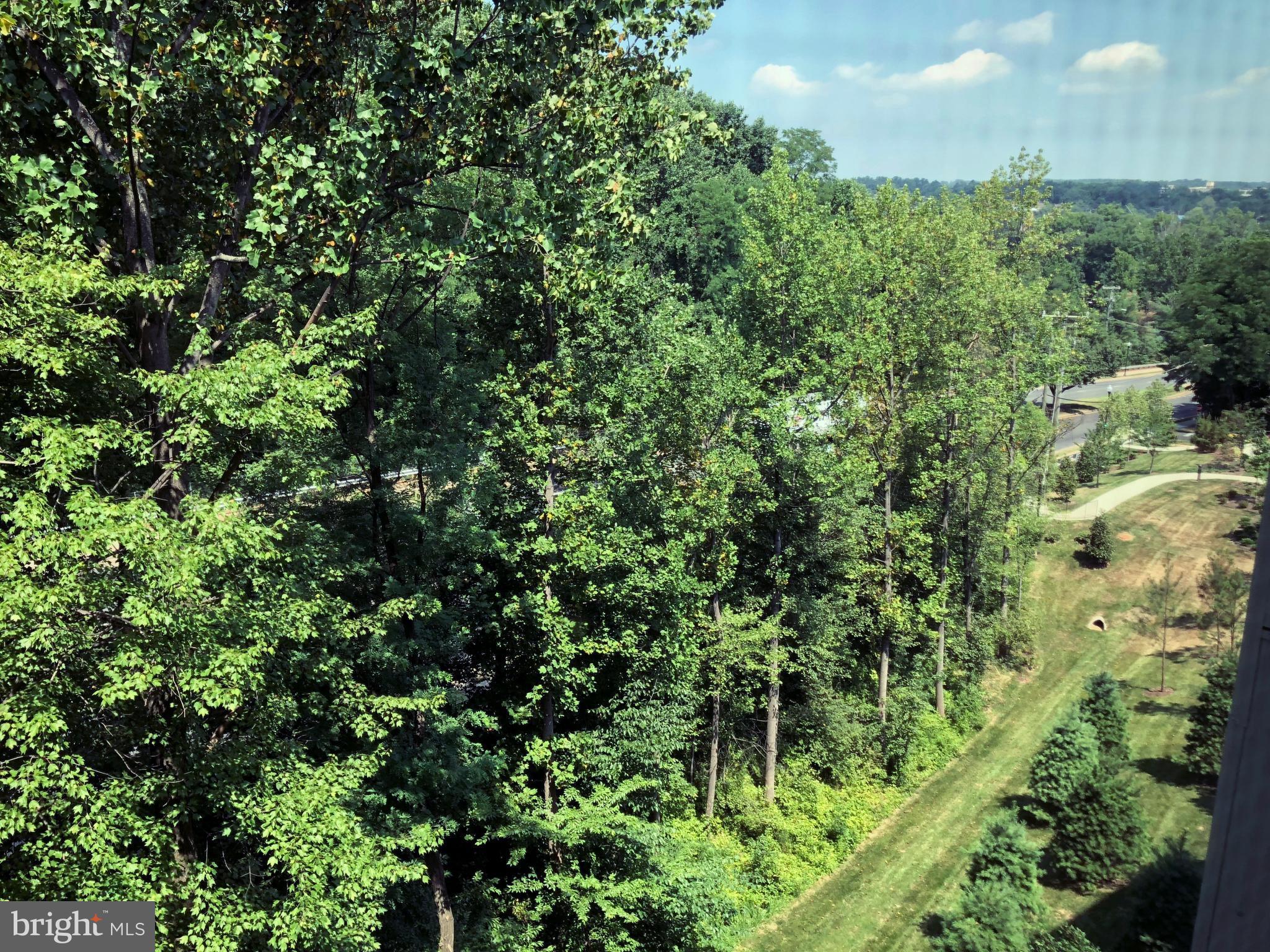 THE ENCLAVE - Residential Lease