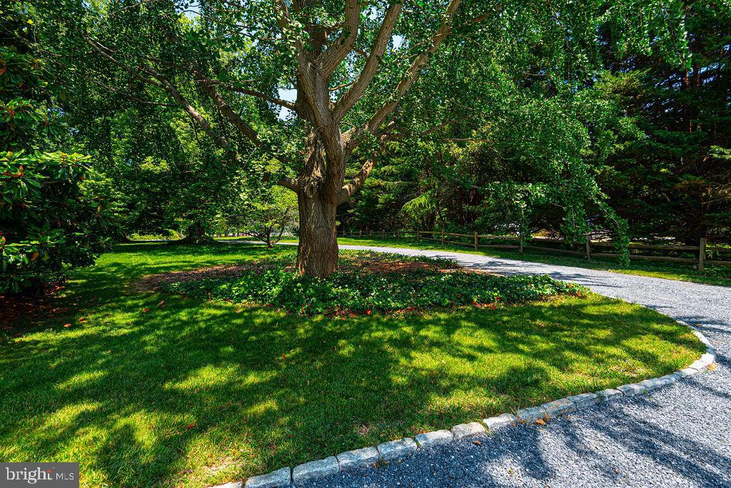 INGLETON - Residential