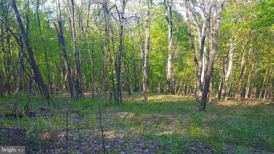High on the Mountain, tell me what do you see?   Wind your way to the top of the mountain to this secluded spot in the Hills of WV.   Community pond and only minutes from the town of Moorefield where there are Restaurants, Movie Theaters, Bowling, WalMart and so much more.