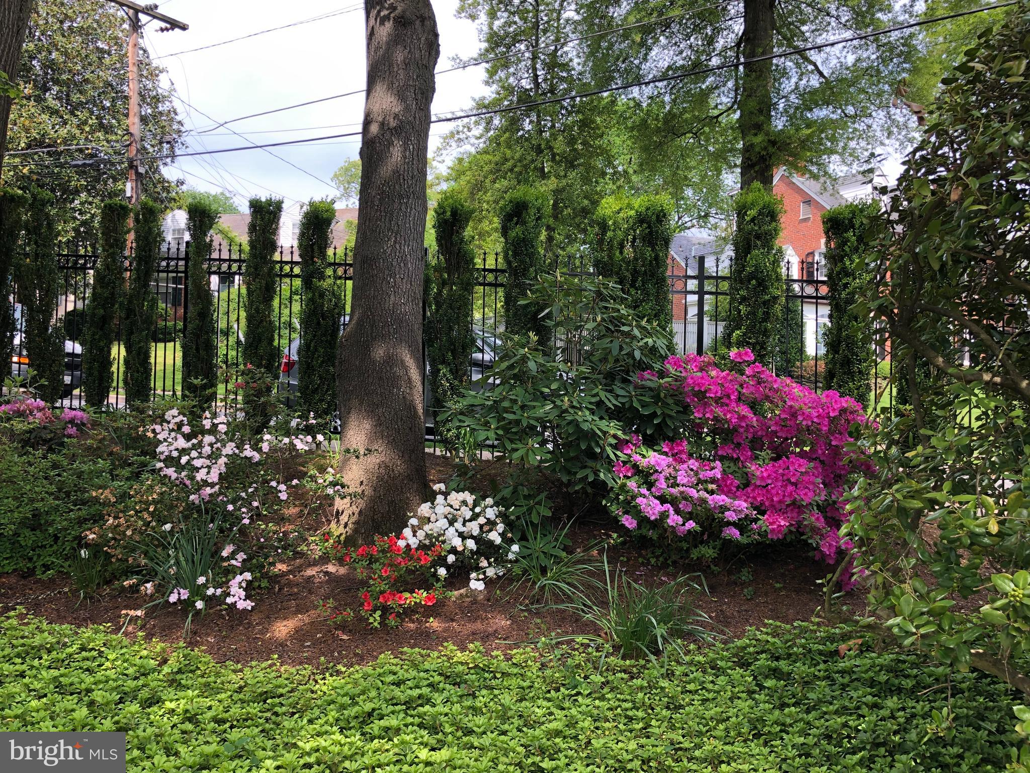 BELLE HAVEN - Residential