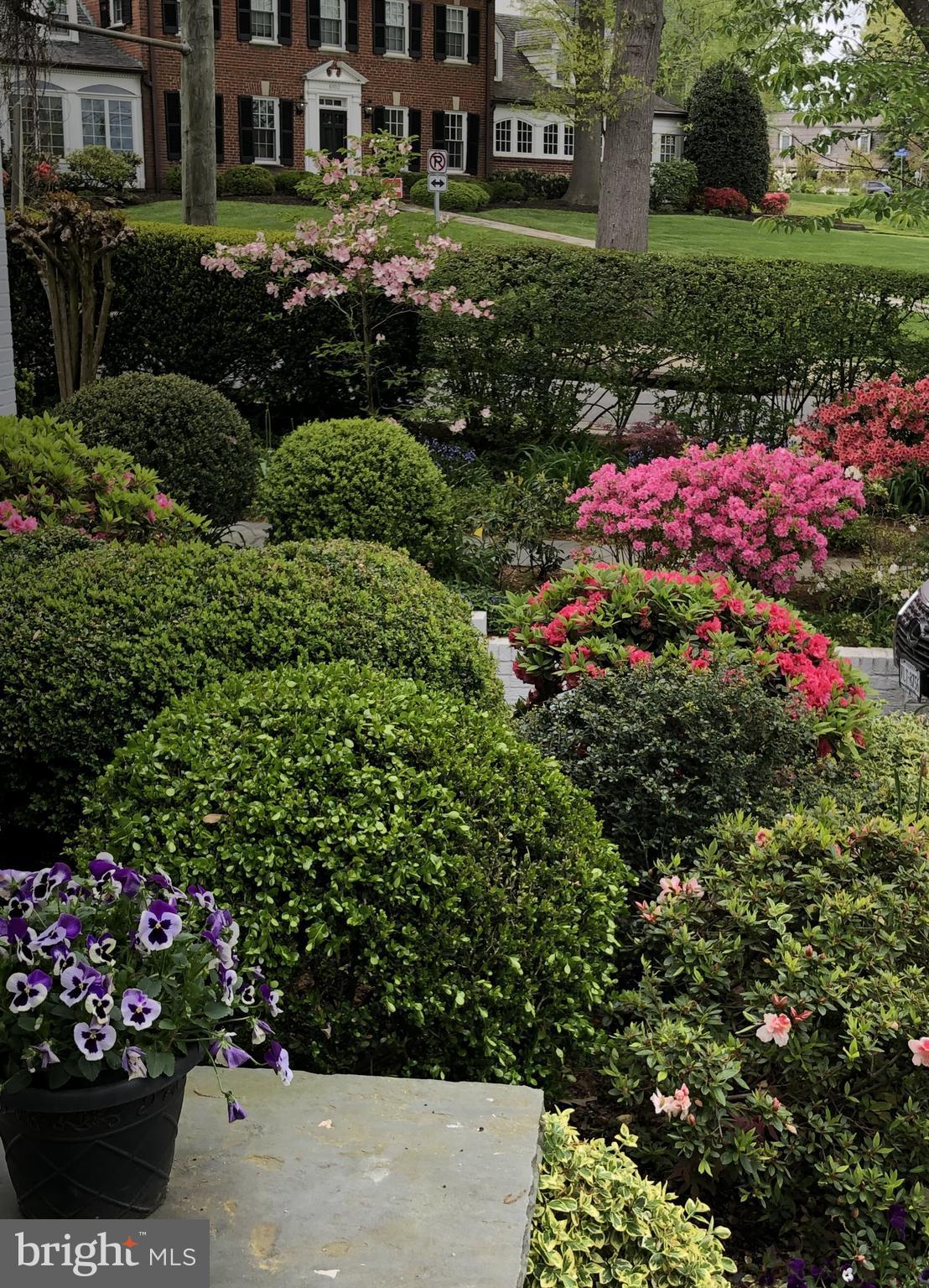 BELLE HAVEN - Residential