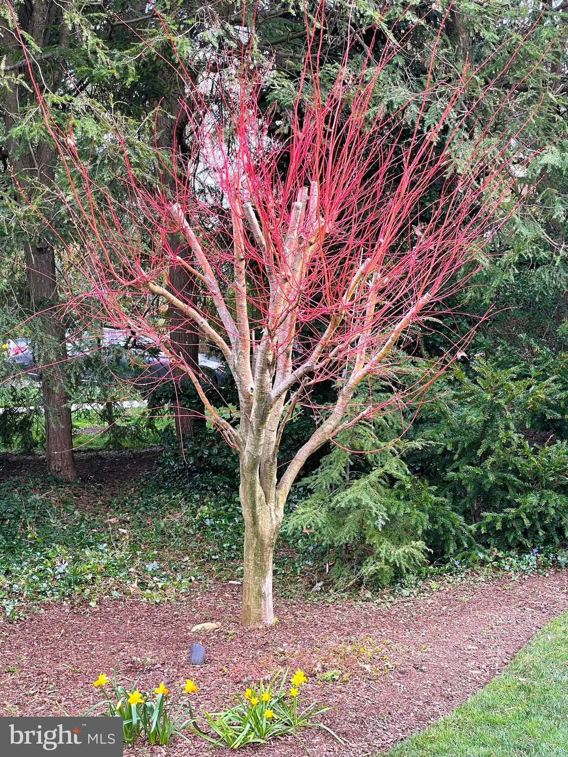 BELLE HAVEN - Residential