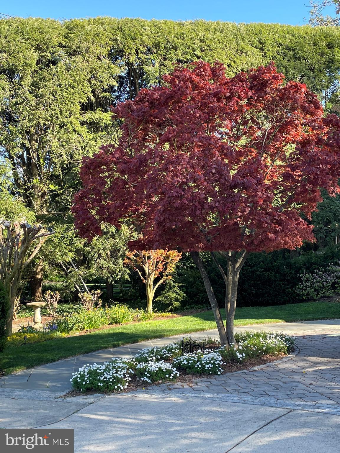 BELLE HAVEN - Residential