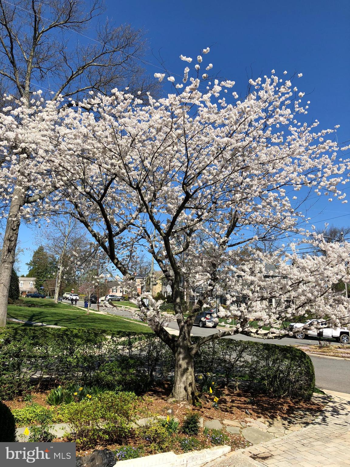 BELLE HAVEN - Residential