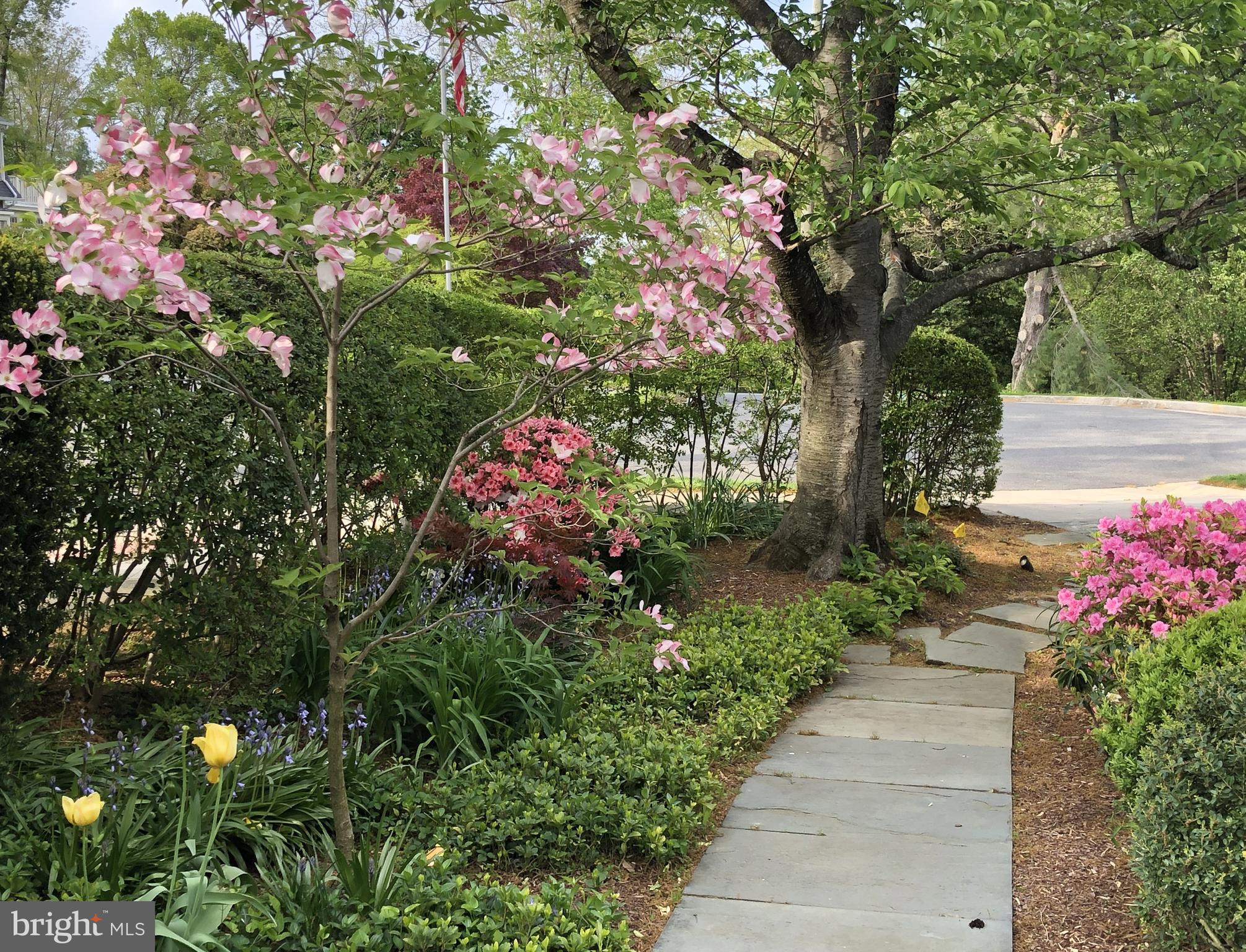 BELLE HAVEN - Residential