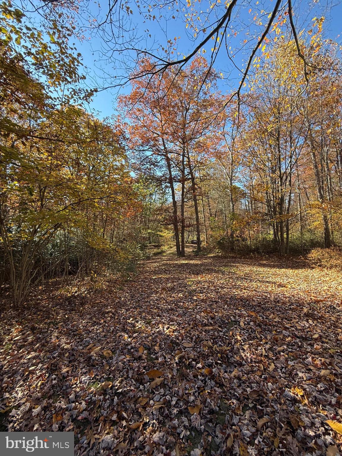 BLACK MOSHANNON - Residential