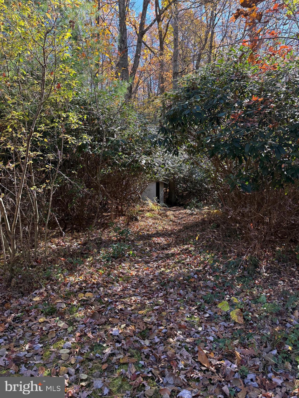 BLACK MOSHANNON - Residential