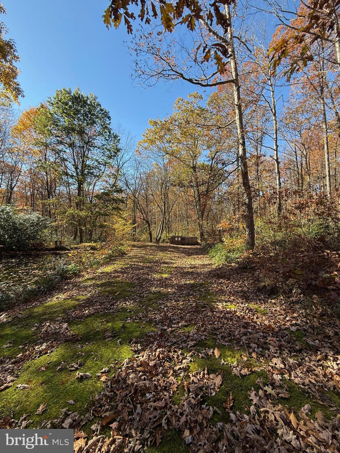 BLACK MOSHANNON - Residential