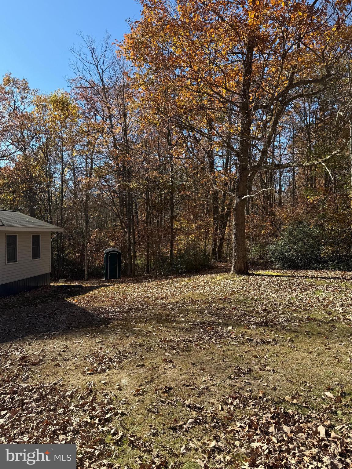 BLACK MOSHANNON - Residential