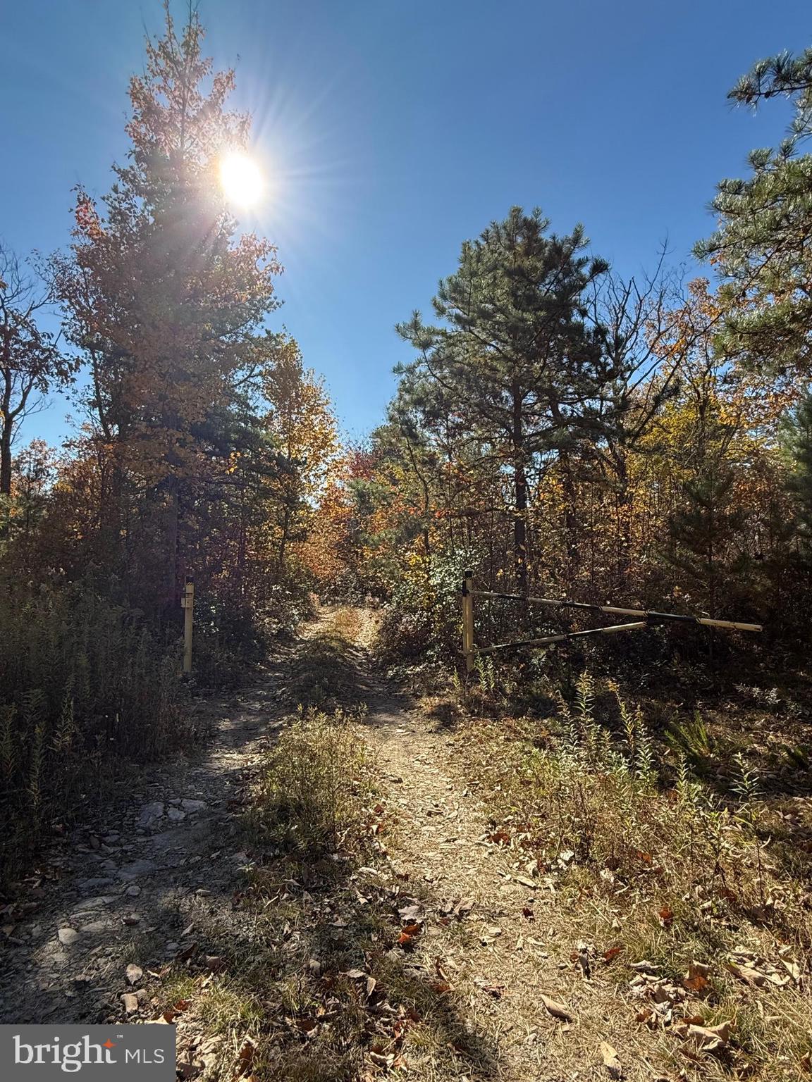 BLACK MOSHANNON - Residential
