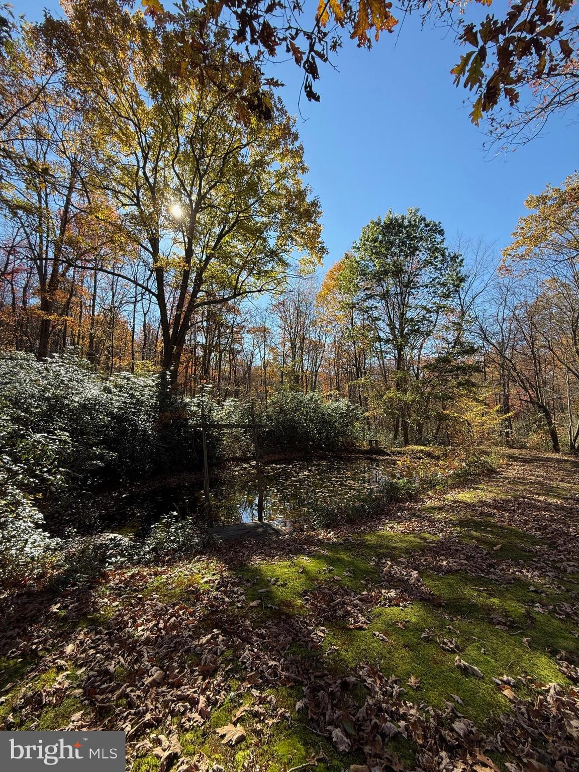 BLACK MOSHANNON - Residential