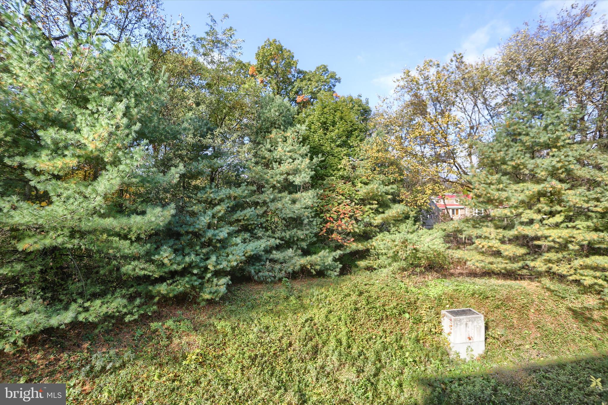 LOCUST WOODS - Residential