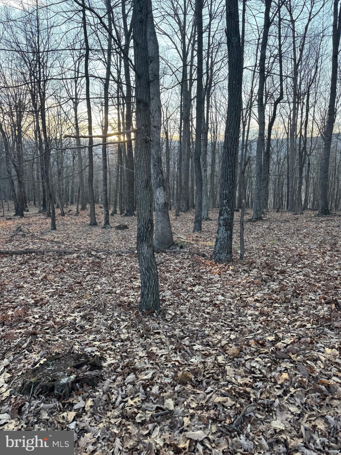 SCHERR - Residential