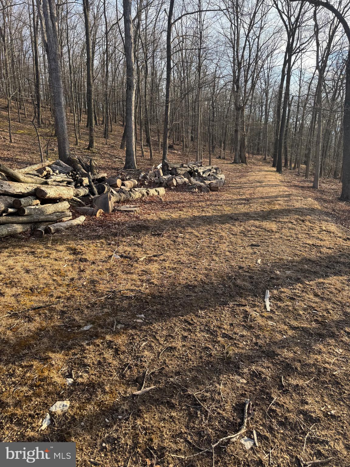 SCHERR - Residential