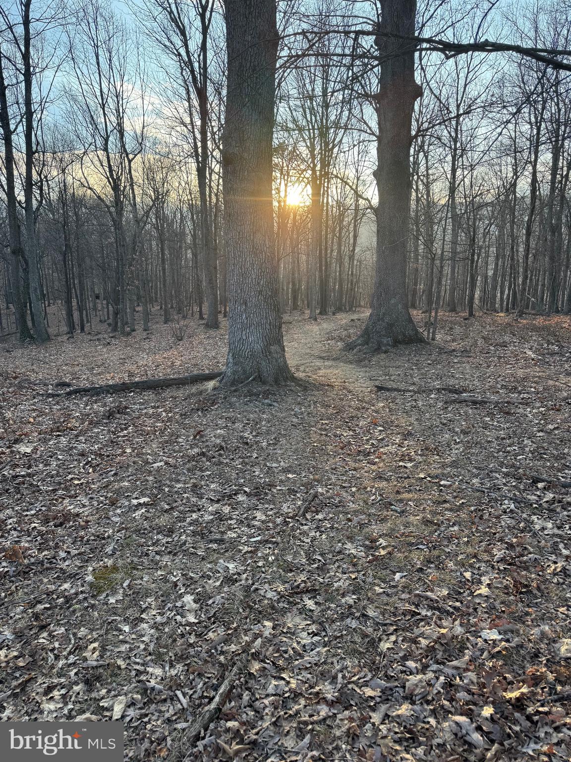 SCHERR - Residential