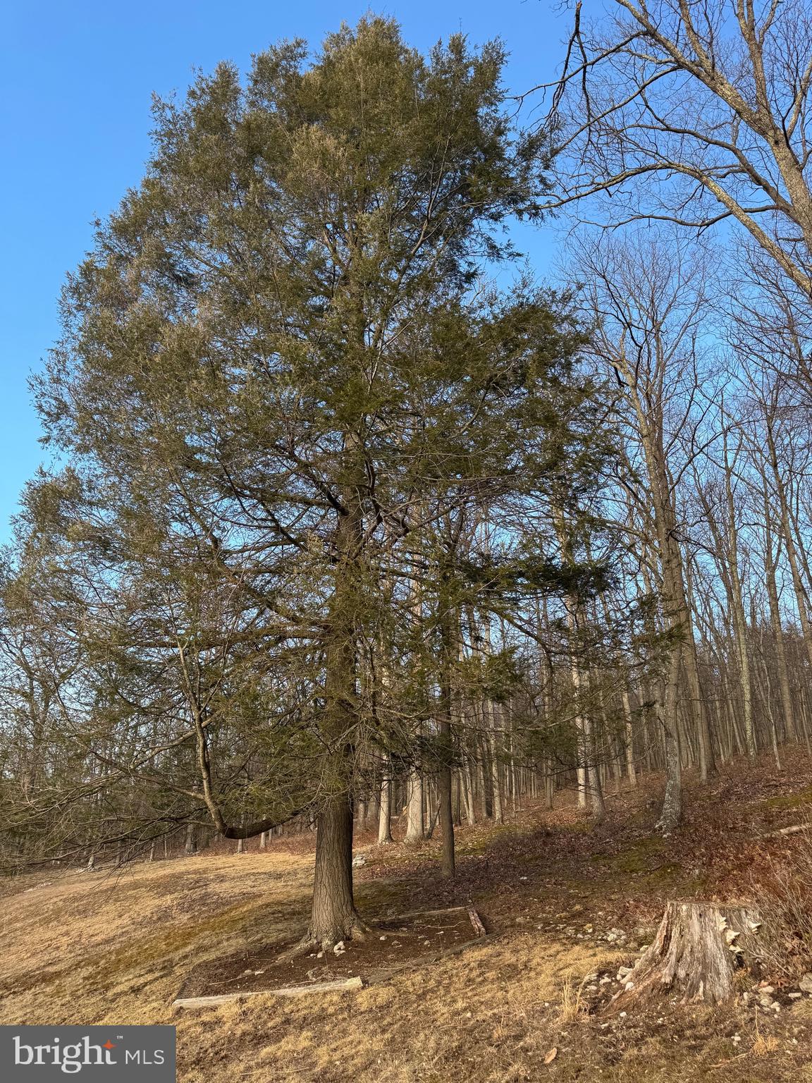 SCHERR - Residential