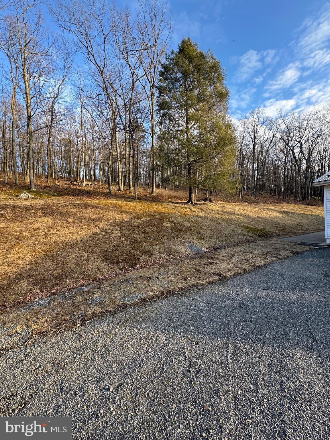 SCHERR - Residential