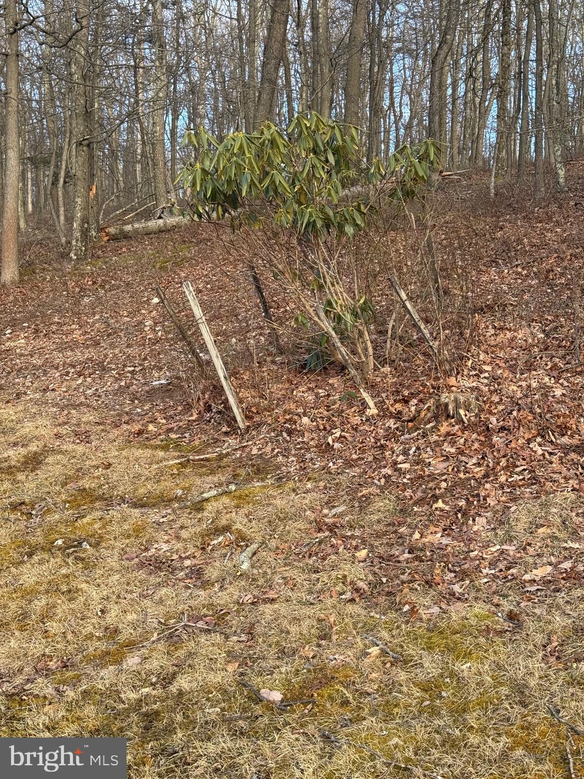 SCHERR - Residential