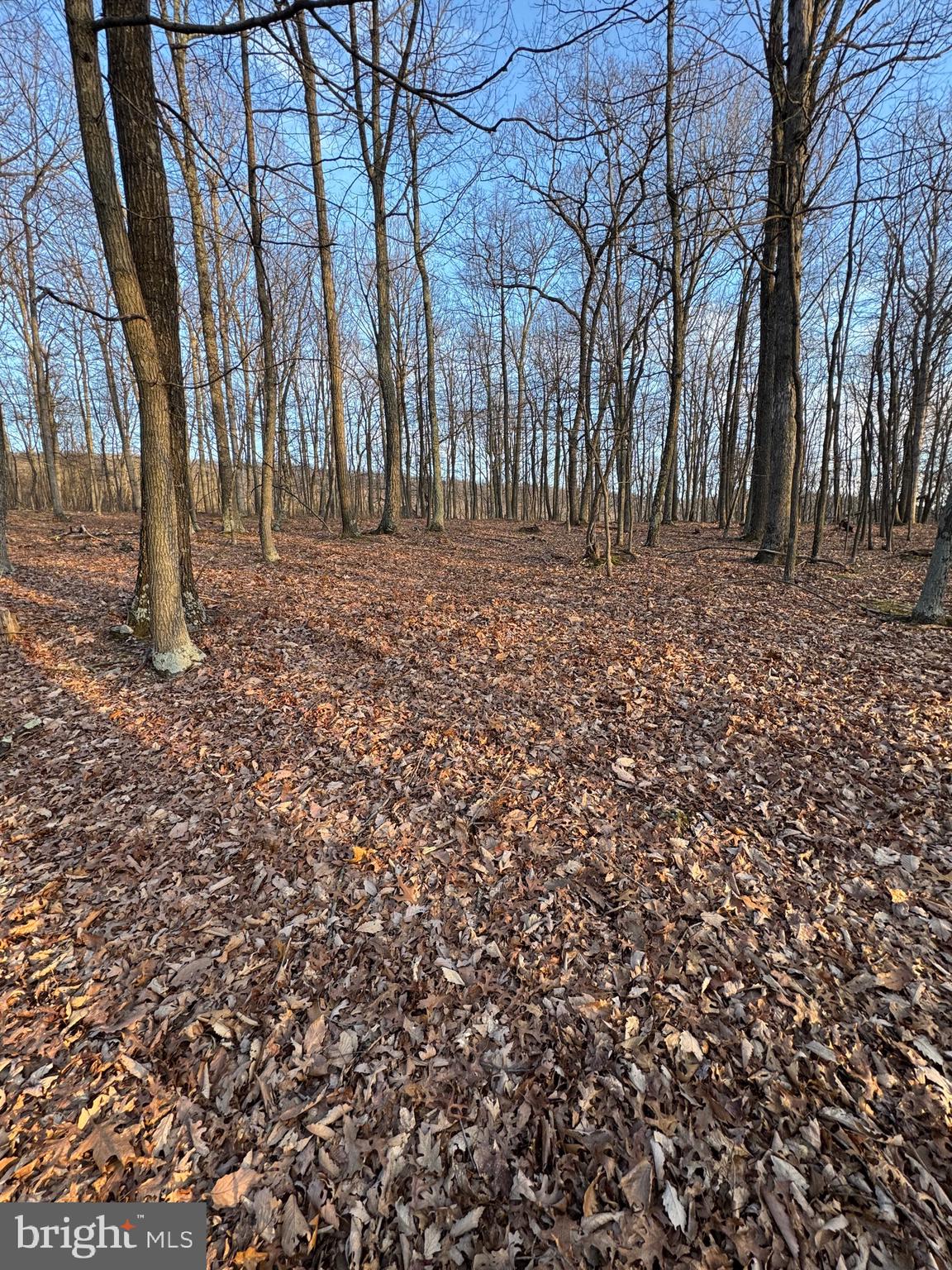 SCHERR - Residential