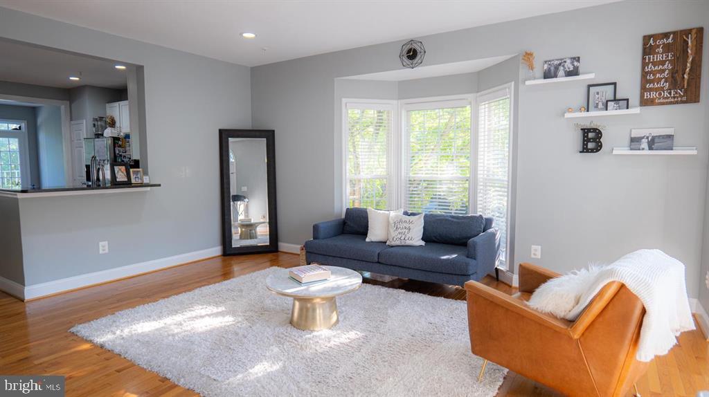 10483 DAMASCUS PARK LANE