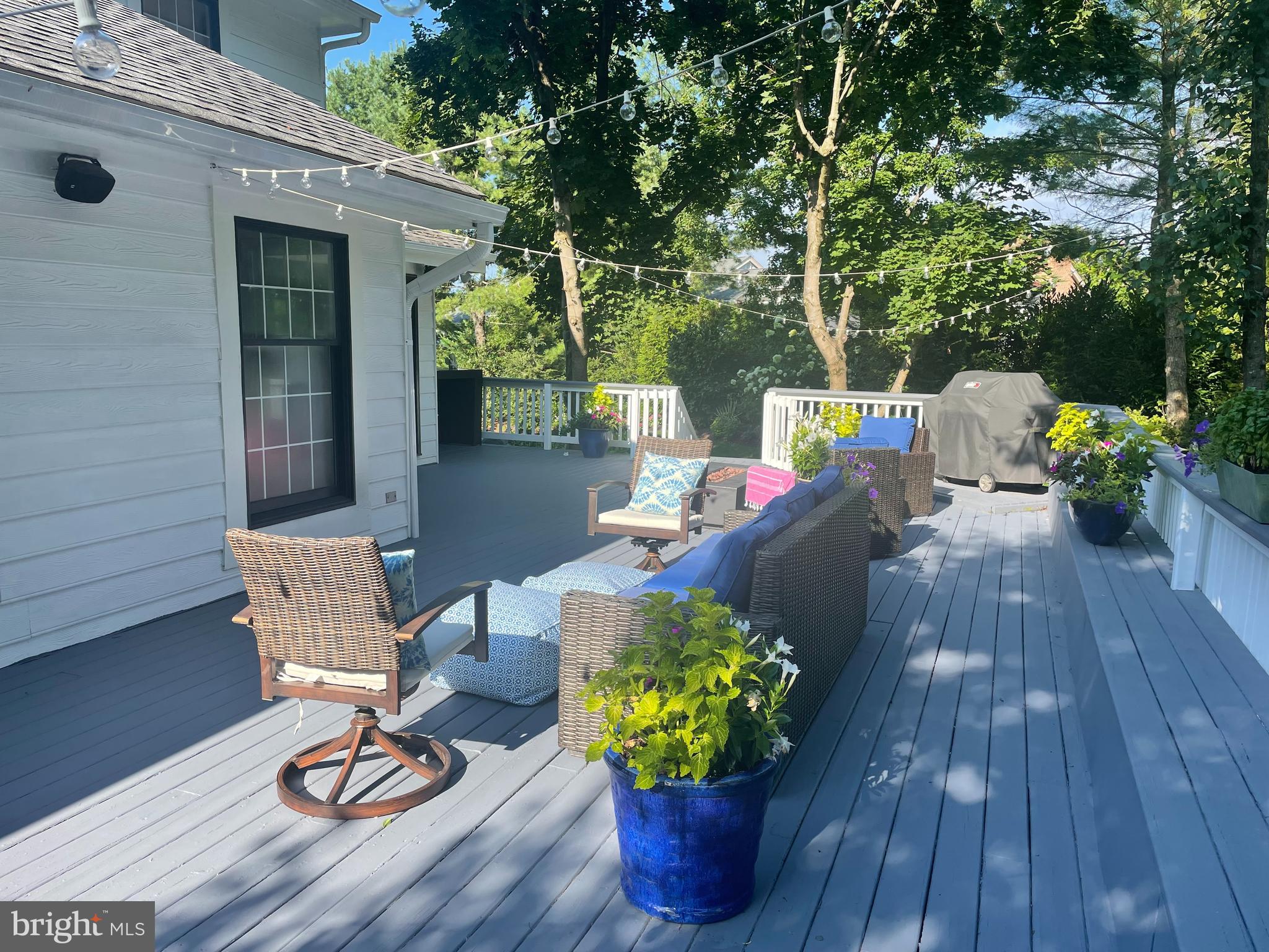 THE MEADOWS OF GREEN SPRING - Residential