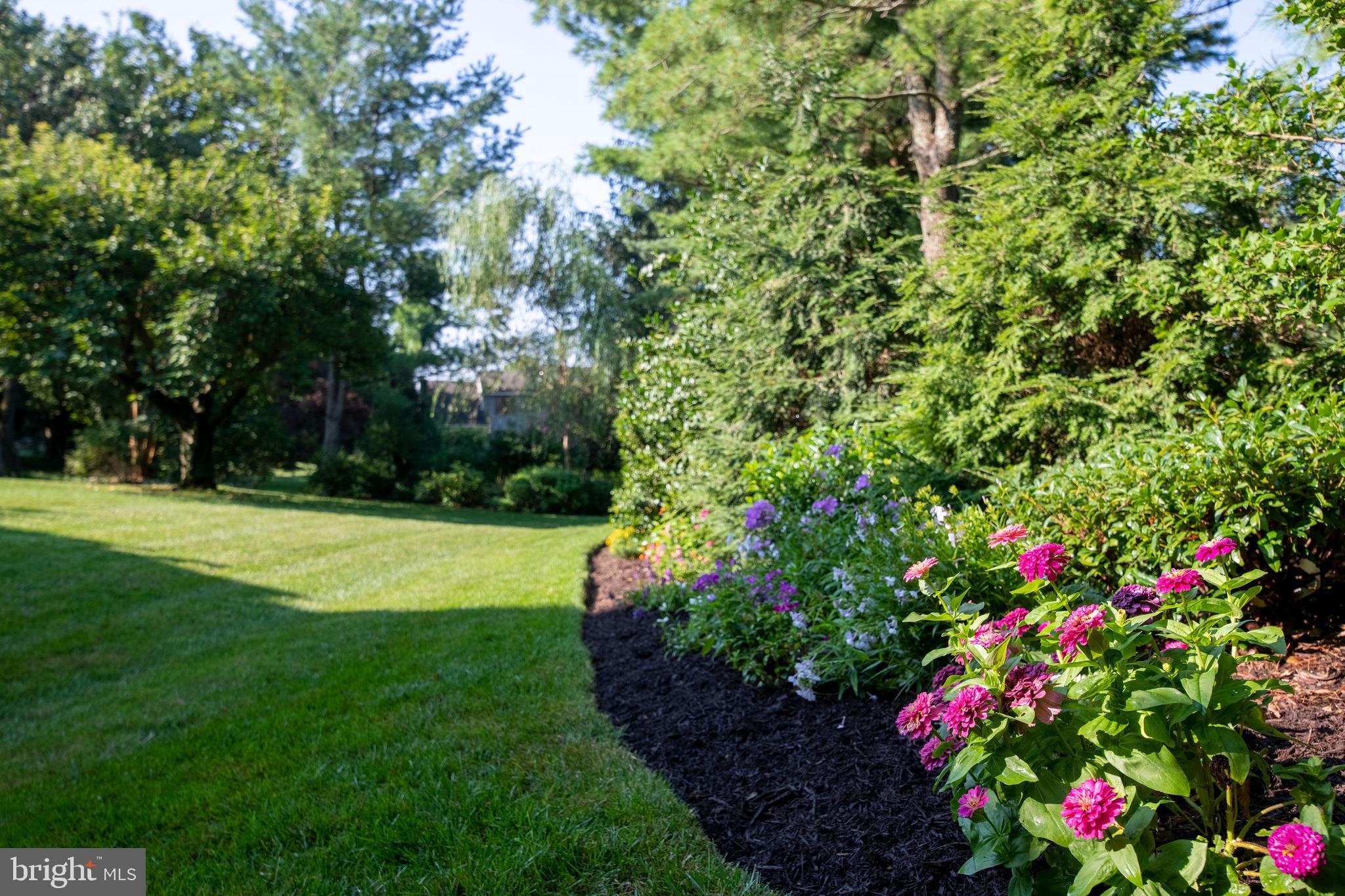 THE MEADOWS OF GREEN SPRING - Residential