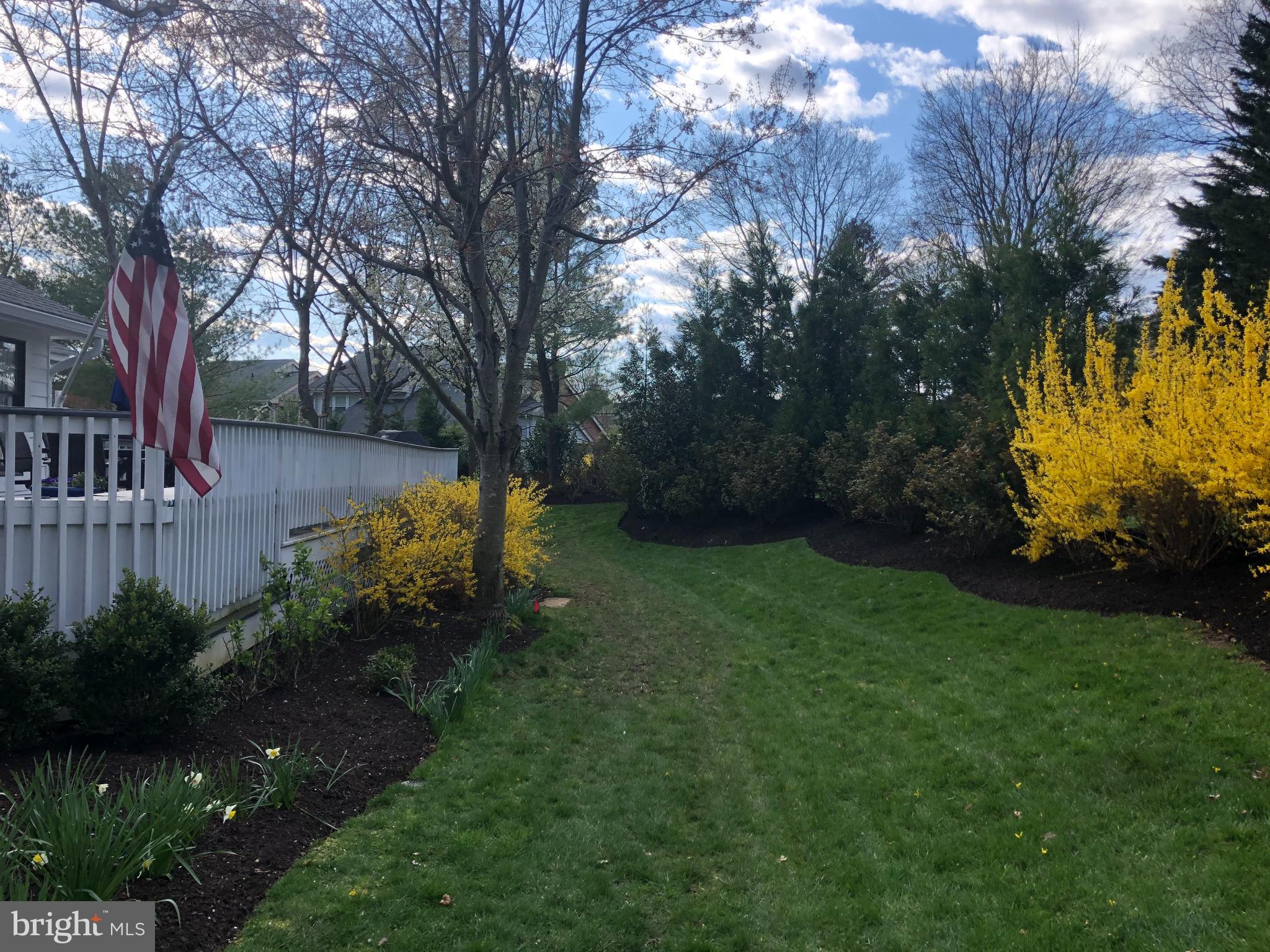 THE MEADOWS OF GREEN SPRING - Residential