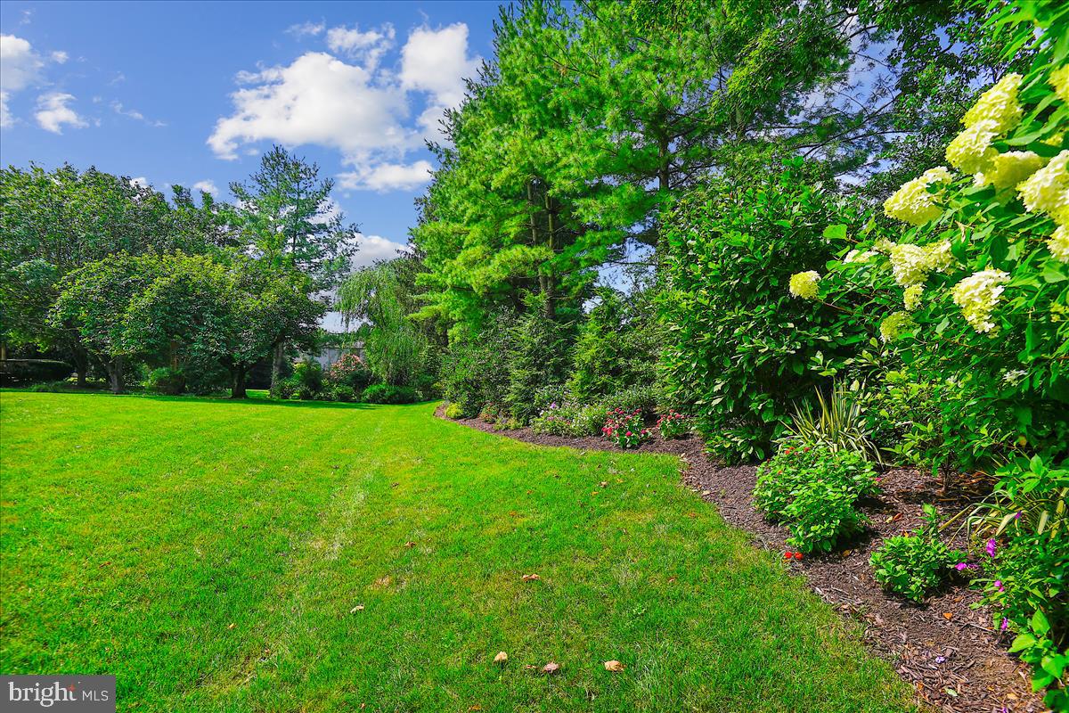 THE MEADOWS OF GREEN SPRING - Residential