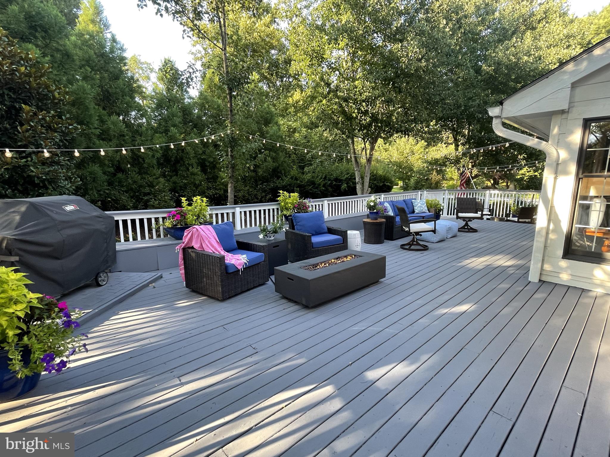 THE MEADOWS OF GREEN SPRING - Residential