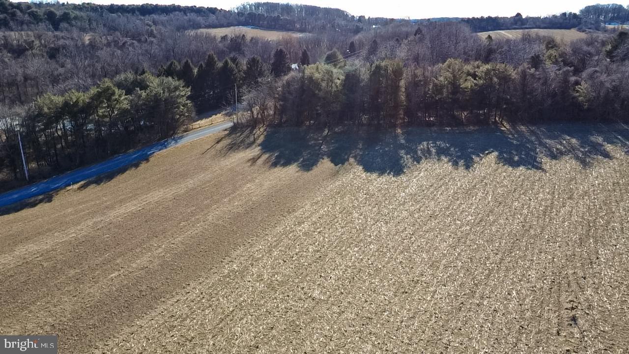 LUTZ ROAD
