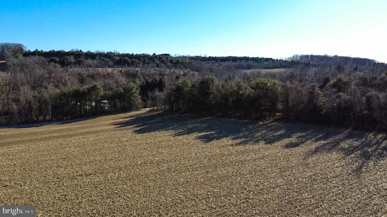 LUTZ ROAD