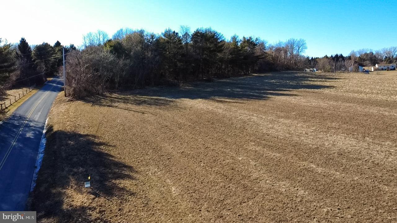 LUTZ ROAD