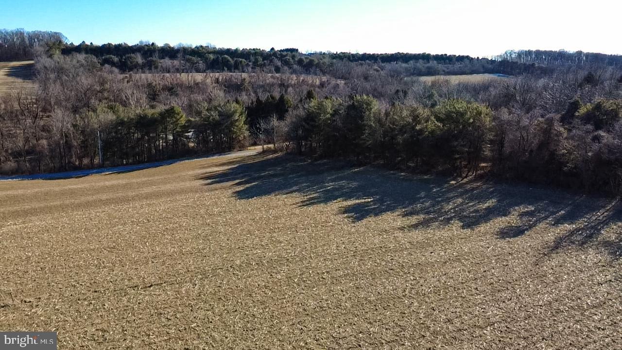 Welcome to this beautiful 1.5 acre lot, just waiting for a new custom home! This country setting has the feeling of privacy, but is only a short distance from RT 78. Picture sipping your morning coffee and seeing amazing views and deer from your kitchen window or back deck. With soil testing and environmental surveys completed, this land is ready for it's next owners. Contact me to schedule a private viewing of this exceptional property before it's gone!
Photos by Michala Reber Photography