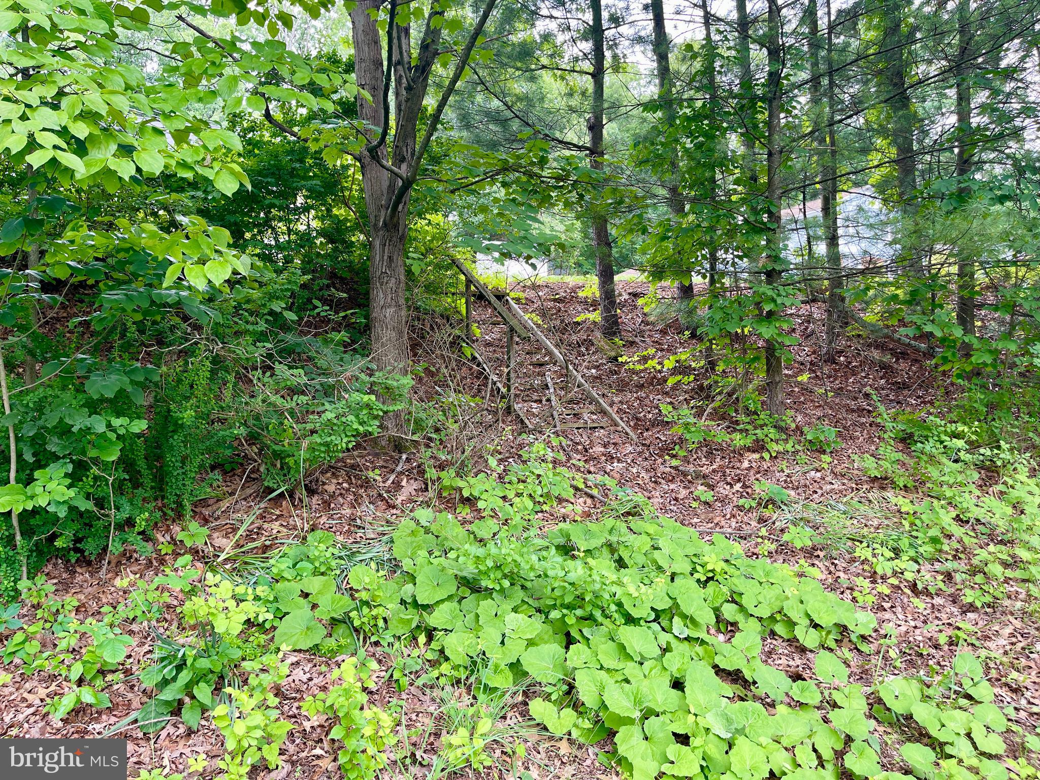 COLONY HEIGHTS - Residential