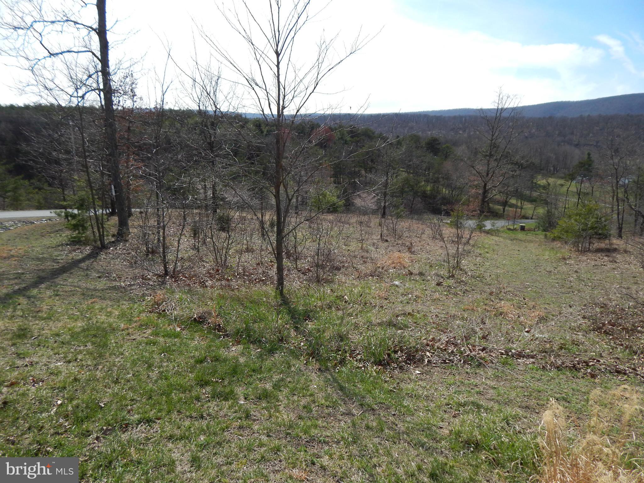 CACAPON SOUTH - Land