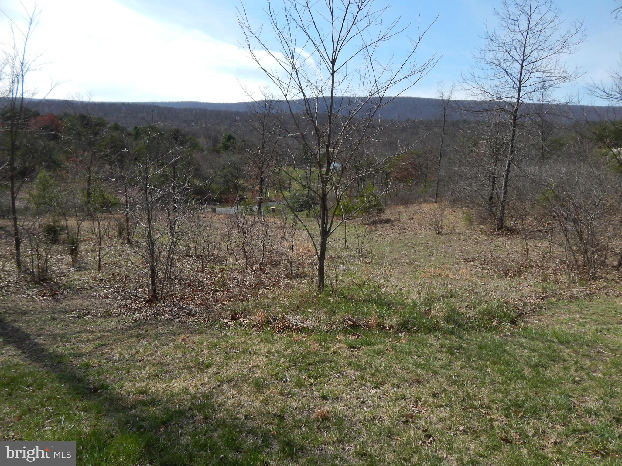 CACAPON SOUTH - Land