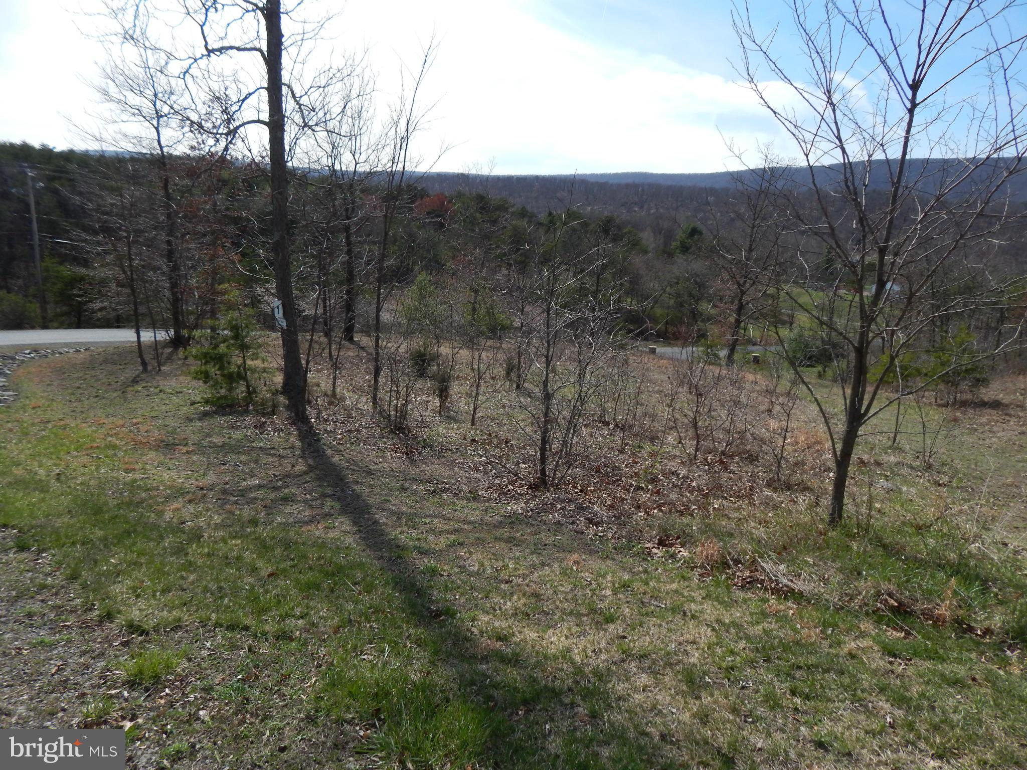 CACAPON SOUTH - Land