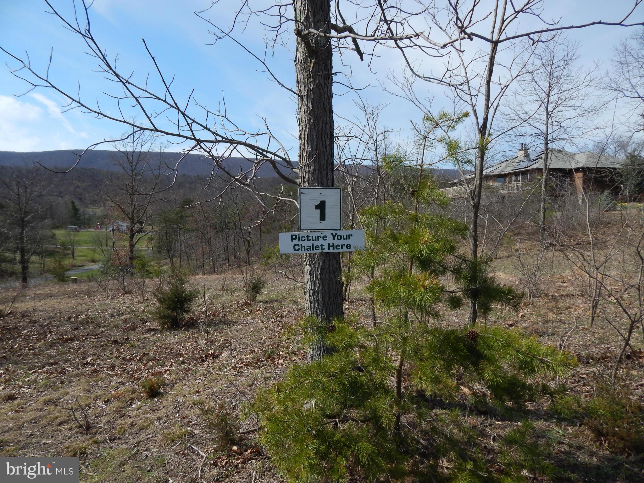 CACAPON SOUTH - Land