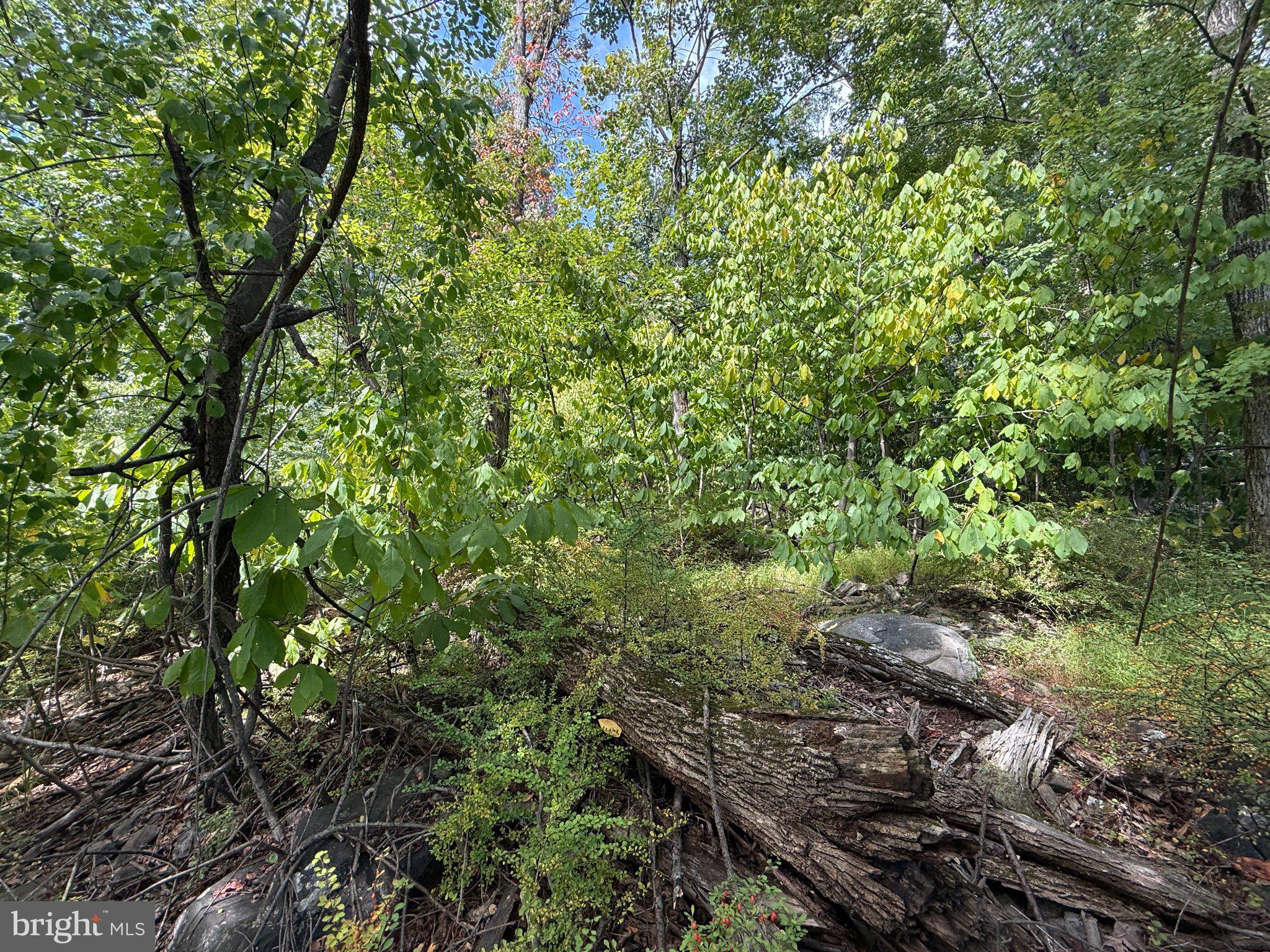 LOT 94 GREAT OAK LANE