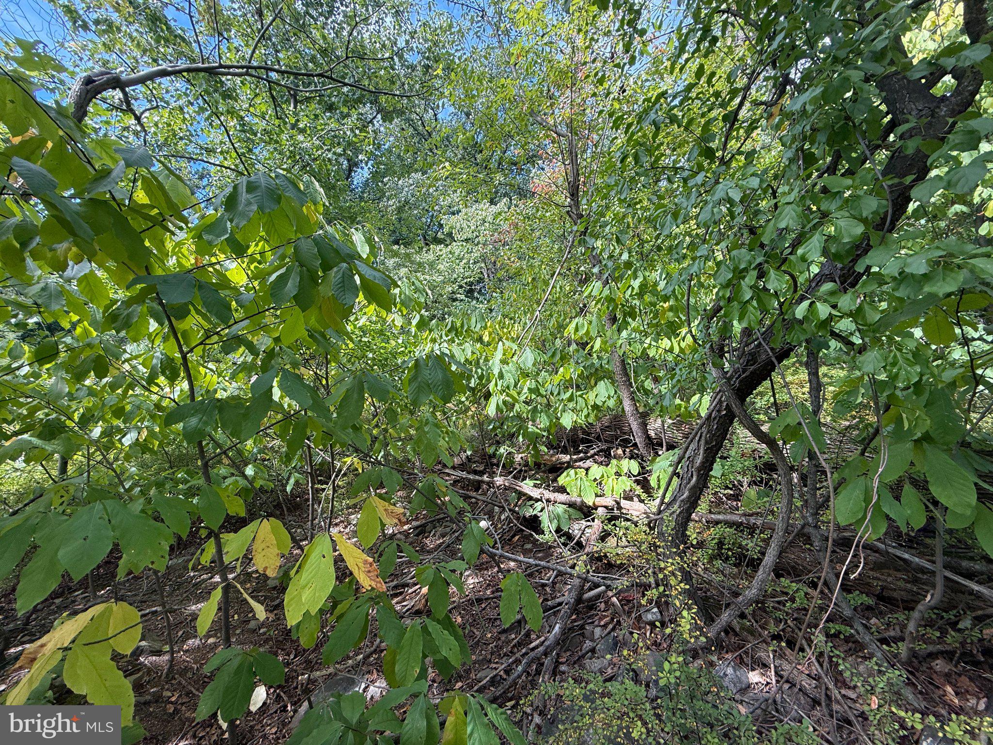LOT 94 GREAT OAK LANE
