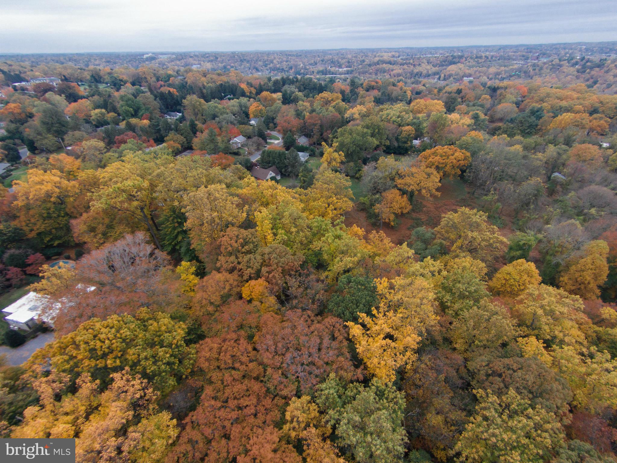 ROLAND PARK - Land