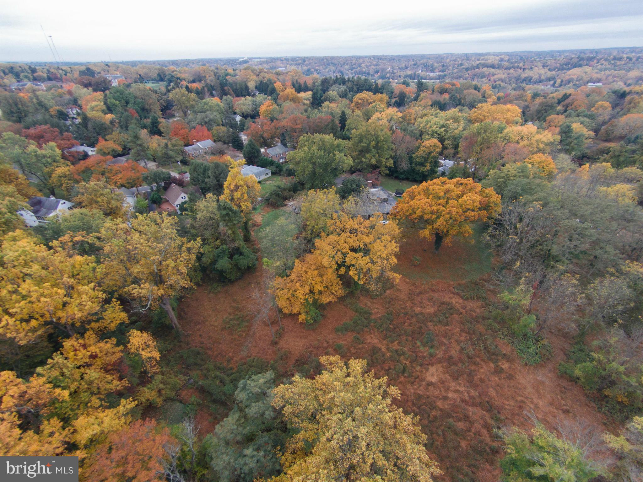 ROLAND PARK - Land